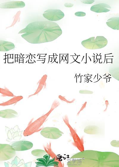 把暗恋写成网文后TXT