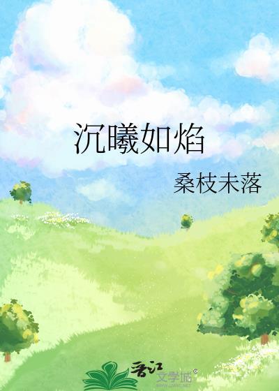 沉曦如焰大结局