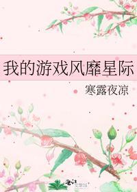 我的游戏画风与众不同无防盗