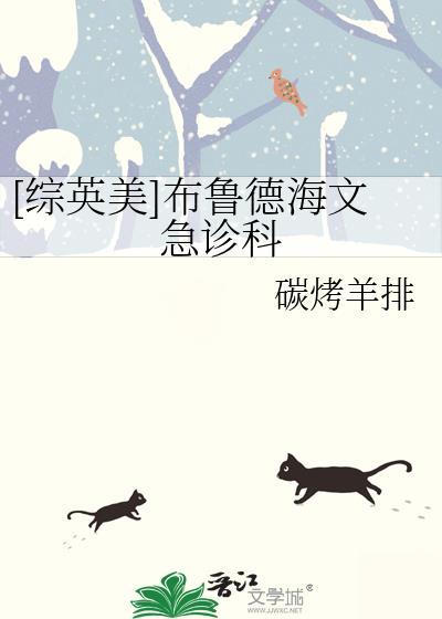 综英美布鲁德海文急诊室