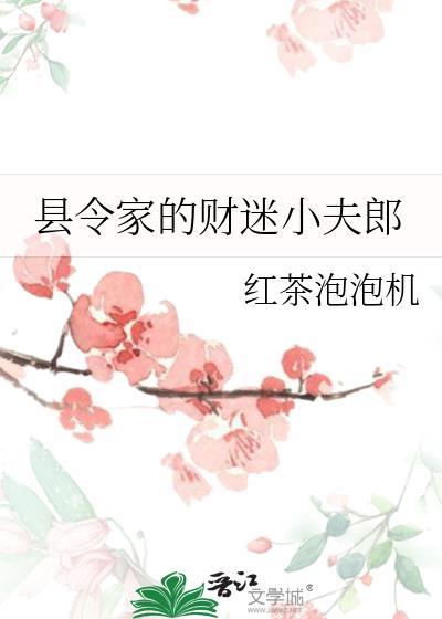 县令家的财迷小夫郎 全文