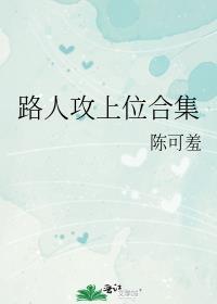 路人攻上位合集讲的什么