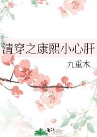 清穿之康熙小心肝免费阅读21