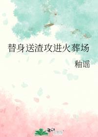 完美婚配讲的什么