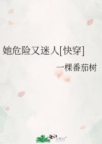 她危险又迷人txt