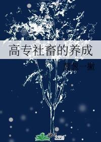 社畜经历
