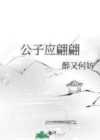 公子应翩翩by醉又何妨