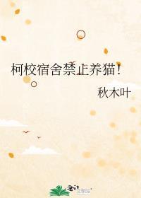 宿舍可以养猫嘛