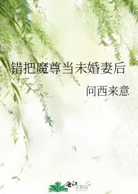 错把魔尊当未婚妻后 问西来意