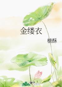 金缕衣免费阅读全文