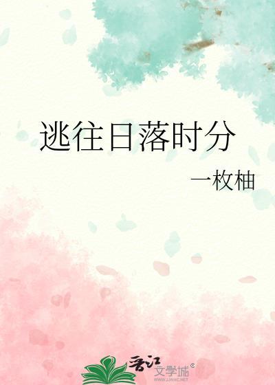 逃往日落时分一枚袖