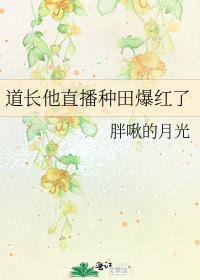 打怪掉落五条猫猫之后txt