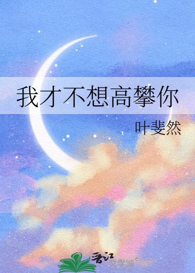 我才不想高攀你作者叶斐然