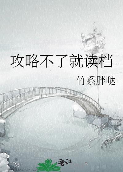 攻略不了就读档竹系胖哒