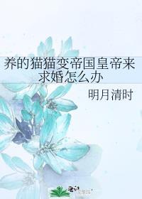 皇帝变成猫的