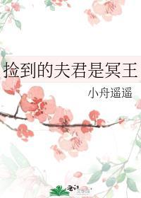 捡到的夫君是冥王晋江