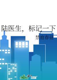 陆医生恋爱免费阅读