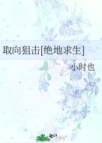 取向狙击old