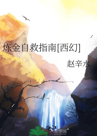 炼金术师的自我修养
