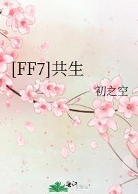 ff7 全支线