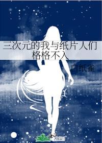 三次元纸片人是什么意思