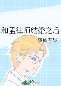 和孟律师结婚之后免费阅读