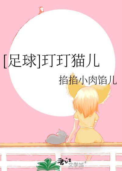 足球场 猫
