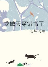 龙傲天穿错书了