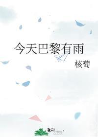 今天巴黎有雨
