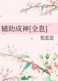 辅助成神[全息]
