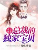 重生盛宠:总裁的独家宝贝