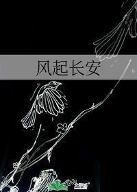 风起长安