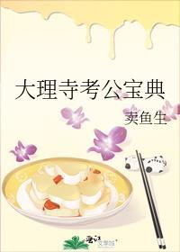 大理寺考公宝典