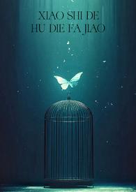 消失的蝴蝶发夹(H)