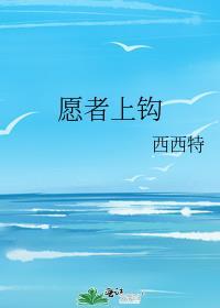 愿者上钩
