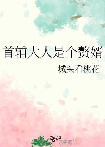 首辅大人是个赘婿