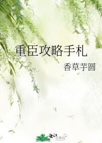 重臣攻略手册
