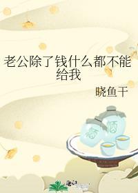 老公除了钱什么都不能给我